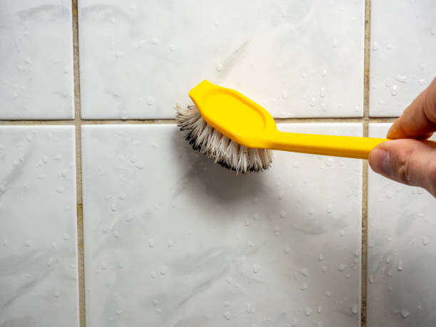 Best Toxic Mold Removal  in Belvedere Park, GA